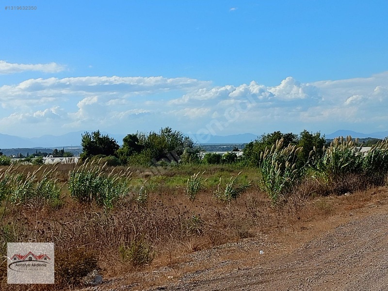Aksu Dumanlar Da 3.600 M2 Yol Kenarı Satılık Arsa