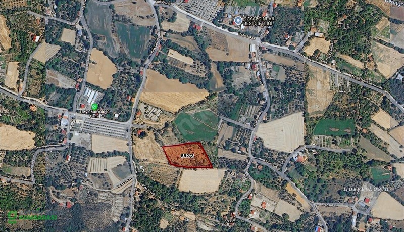 Kastamonu Tosyada 6.338 M² Müstakil Tapulu, Meyve Ağaçlı Arazi — fotoğraf 2