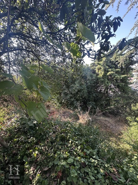Hasan Akın Gayrimenkulden Satılık Arsa — fotoğraf 10