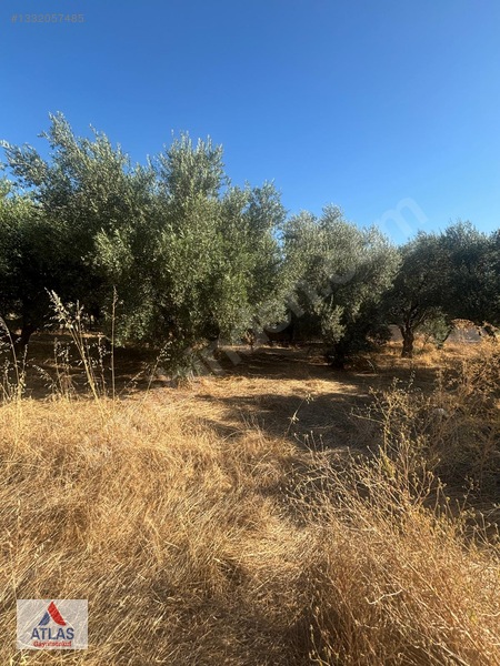 Atlas'tan Avşar'da Satılık Arsa — fotoğraf 2