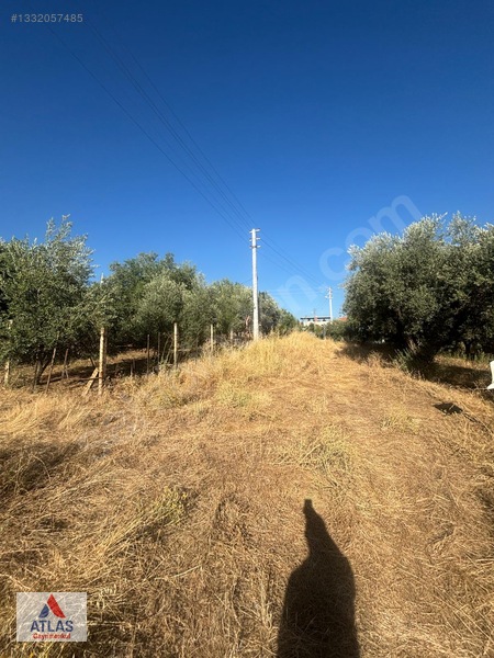 Atlas'tan Avşar'da Satılık Arsa — fotoğraf 5