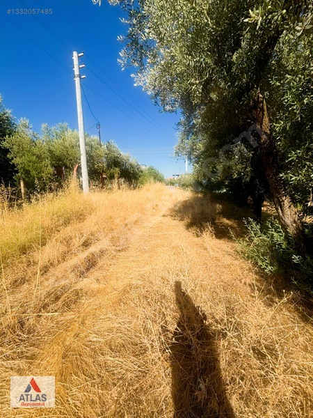 Atlas'tan Avşar'da Satılık Arsa — fotoğraf 10