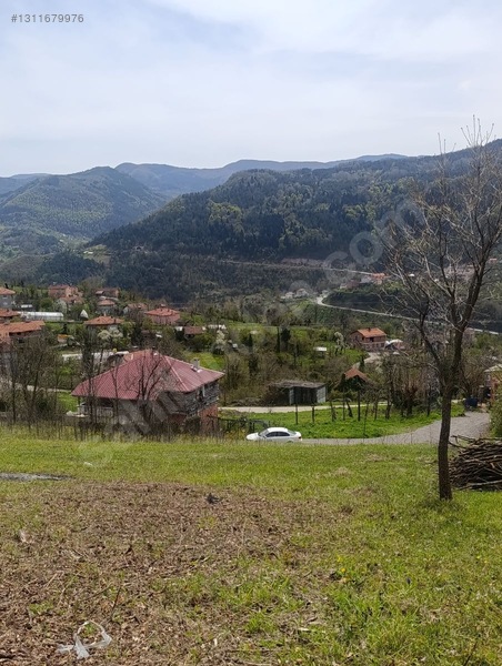 Zeybek*den İnebolu Yeşilöz Mahallesi .1.067.m2 Satilik Arsa — fotoğraf 3