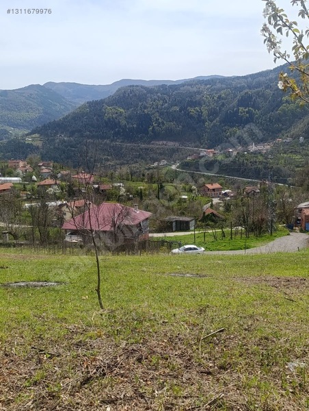 Zeybek*den İnebolu Yeşilöz Mahallesi .1.067.m2 Satilik Arsa — fotoğraf 5