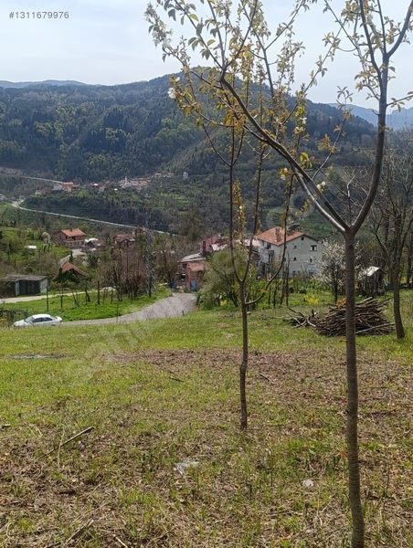 Zeybek*den İnebolu Yeşilöz Mahallesi .1.067.m2 Satilik Arsa — fotoğraf 6