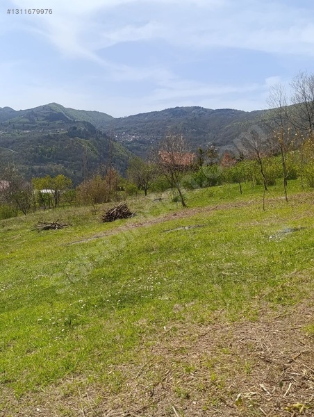 Zeybek*den İnebolu Yeşilöz Mahallesi .1.067.m2 Satilik Arsa — fotoğraf 11