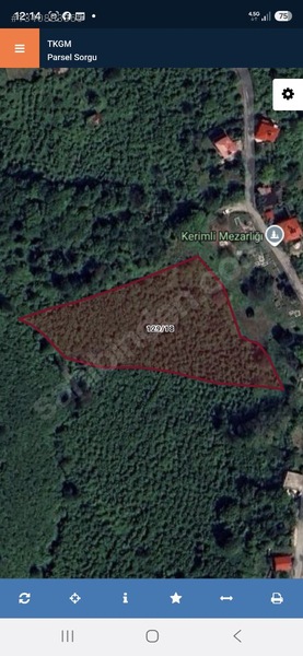 Tirebolu Emlaktan Yalı Köyde Satılık Arazi