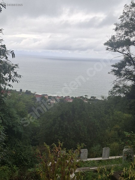 Tirebolu Emlaktan Yalı Köyde Satılık Arazi — fotoğraf 7