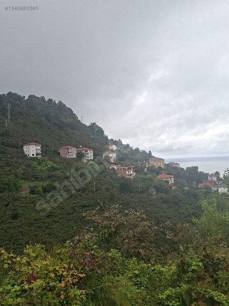 Tirebolu Emlaktan Yalı Köyde Satılık Arazi — fotoğraf 9