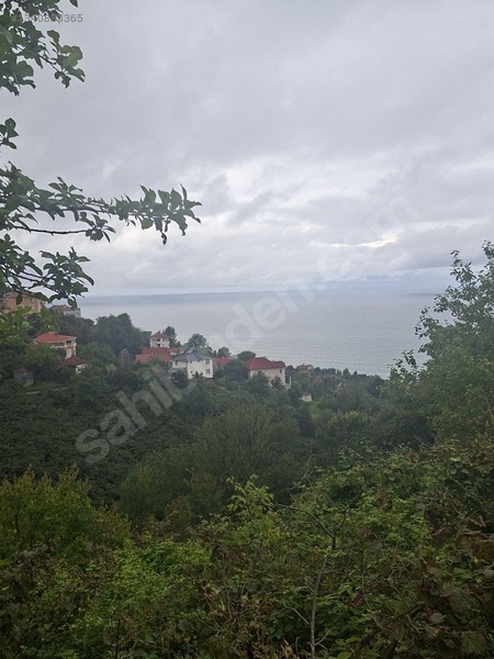 Tirebolu Emlaktan Yalı Köyde Satılık Arazi — fotoğraf 10