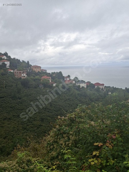 Tirebolu Emlaktan Yalı Köyde Satılık Arazi — fotoğraf 13