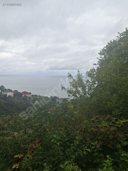 Tirebolu Emlaktan Yalı Köyde Satılık Arazi — fotoğraf 14