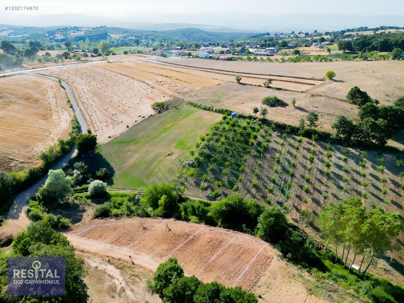 Bu Fiyata Yer Yok Resmi Tapulu Tarlalar — fotoğraf 3