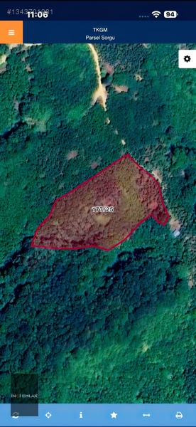 İnci Emlak|Karatavuk Köyü 12.870M2 Satılık Acil Fındık Bahçesi