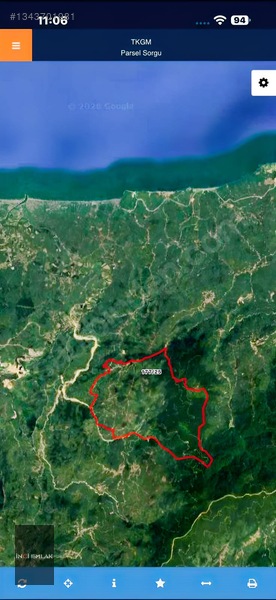 İnci Emlak|karatavuk Köyü 12.870m2 Satılık Acil Fındık Bahçesi — fotoğraf 2
