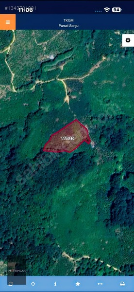 İnci Emlak|karatavuk Köyü 12.870m2 Satılık Acil Fındık Bahçesi — fotoğraf 3