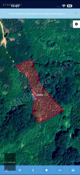 İnci Emlak|karatavuk Köyü 12.870m2 Satılık Acil Fındık Bahçesi — fotoğraf 6