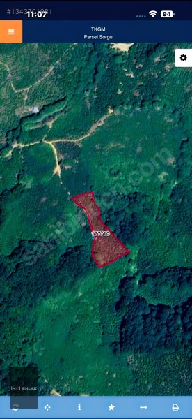 İnci Emlak|karatavuk Köyü 12.870m2 Satılık Acil Fındık Bahçesi — fotoğraf 7