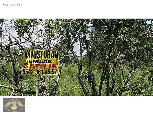 Kavuşturan Emlak Gümrük Yolu 5612 M Bağ Evlik Harika Lokasyon — fotoğraf 4