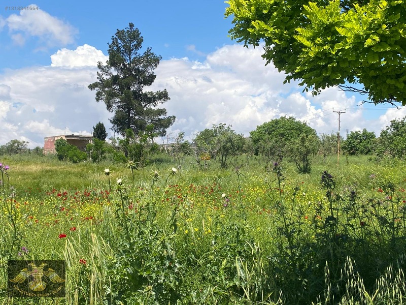 Kavuşturan Emlak Gümrük Yolu 5612 M Bağ Evlik Harika Lokasyon — fotoğraf 6