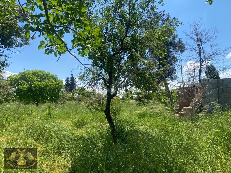 Kavuşturan Emlak Gümrük Yolu 5612 M Bağ Evlik Harika Lokasyon — fotoğraf 7