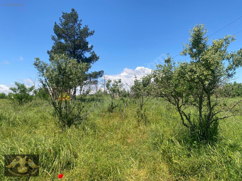 Kavuşturan Emlak Gümrük Yolu 5612 M Bağ Evlik Harika Lokasyon — fotoğraf 16