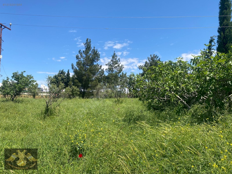Kavuşturan Emlak Gümrük Yolu 5612 M Bağ Evlik Harika Lokasyon — fotoğraf 17