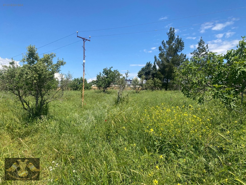 Kavuşturan Emlak Gümrük Yolu 5612 M Bağ Evlik Harika Lokasyon — fotoğraf 20