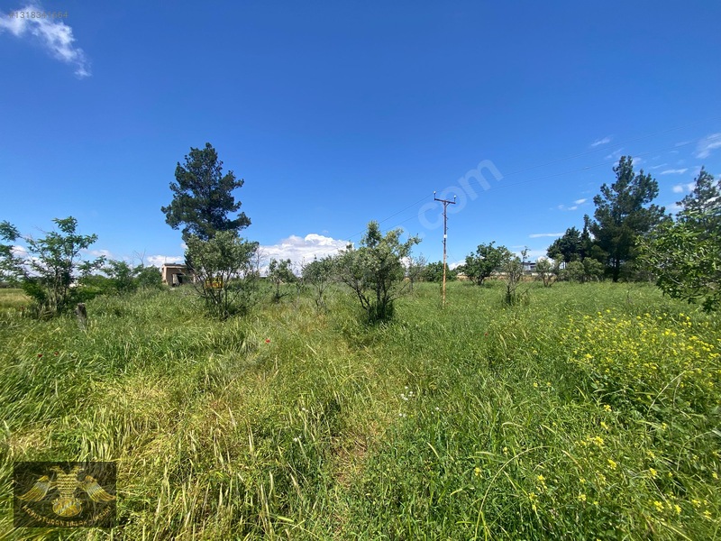 Kavuşturan Emlak Gümrük Yolu 5612 M Bağ Evlik Harika Lokasyon — fotoğraf 22