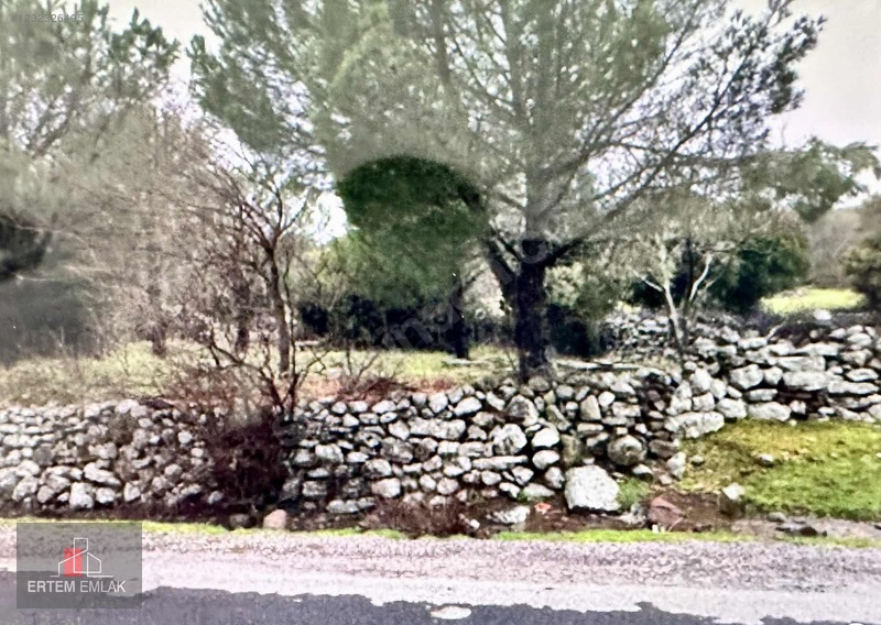 Manisa Yunusemre Satılık Arazi Köy Ve Asfalt Yanı — fotoğraf 5