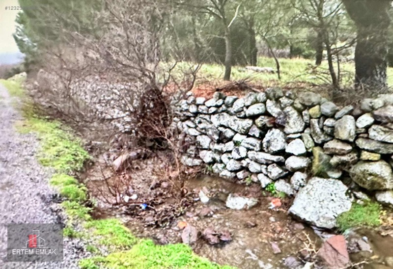 Manisa Yunusemre Satılık Arazi Köy Ve Asfalt Yanı — fotoğraf 9