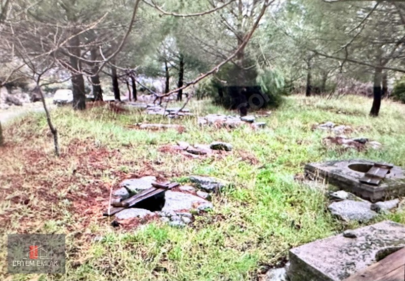 Manisa Yunusemre Satılık Arazi Köy Ve Asfalt Yanı — fotoğraf 14
