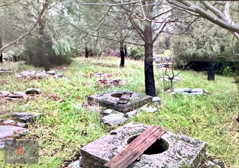 Manisa Yunusemre Satılık Arazi Köy Ve Asfalt Yanı — fotoğraf 15