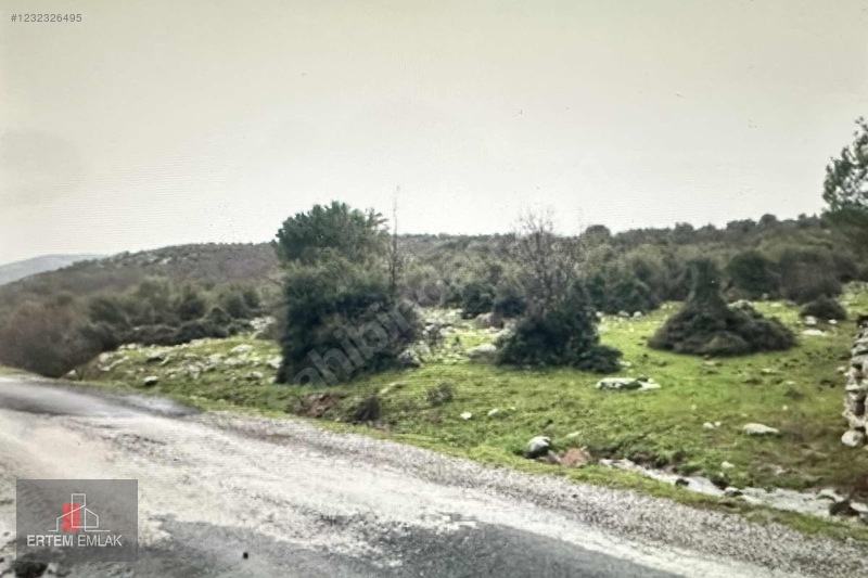 Manisa Yunusemre Satılık Arazi Köy Ve Asfalt Yanı — fotoğraf 16