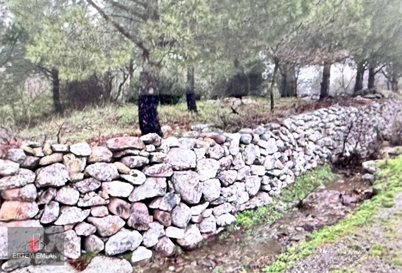 Manisa Yunusemre Satılık Arazi Köy Ve Asfalt Yanı — fotoğraf 20