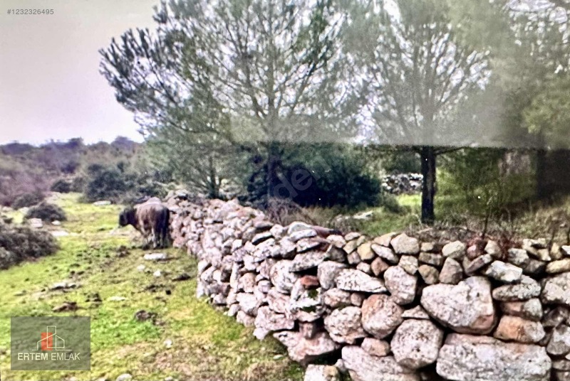 Manisa Yunusemre Satılık Arazi Köy Ve Asfalt Yanı — fotoğraf 21