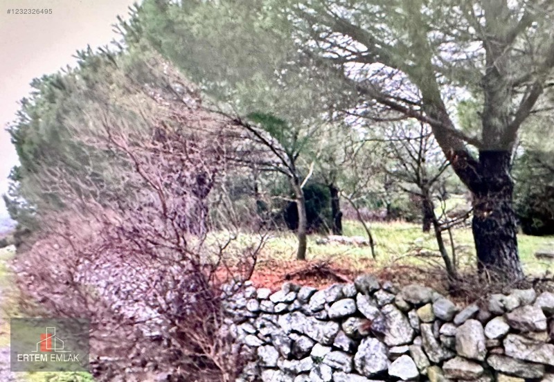 Manisa Yunusemre Satılık Arazi Köy Ve Asfalt Yanı — fotoğraf 26