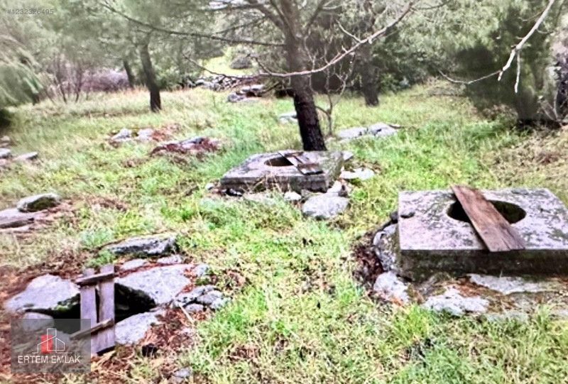 Manisa Yunusemre Satılık Arazi Köy Ve Asfalt Yanı — fotoğraf 31