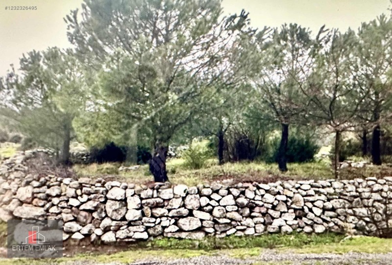 Manisa Yunusemre Satılık Arazi Köy Ve Asfalt Yanı — fotoğraf 34