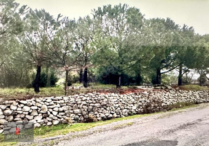 Manisa Yunusemre Satılık Arazi Köy Ve Asfalt Yanı — fotoğraf 35