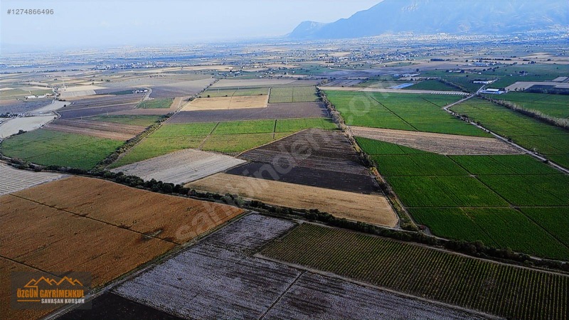 Özgün Gm'den - Güzelköy'de Satılık "bonuslu" Tarla -fiyat Düştü! — fotoğraf 7