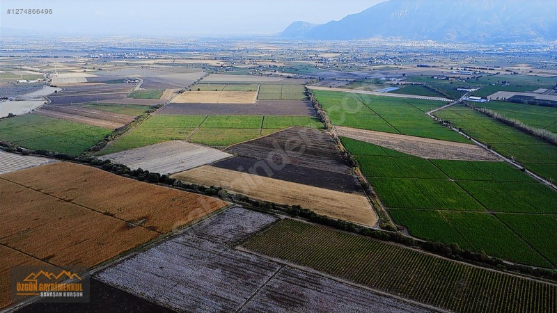 Özgün Gm'den - Güzelköy'de Satılık "bonuslu" Tarla -fiyat Düştü! — fotoğraf 8