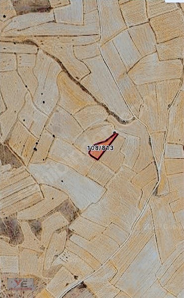 Molu'Da 208 Metre Kare Hisseli Tarla