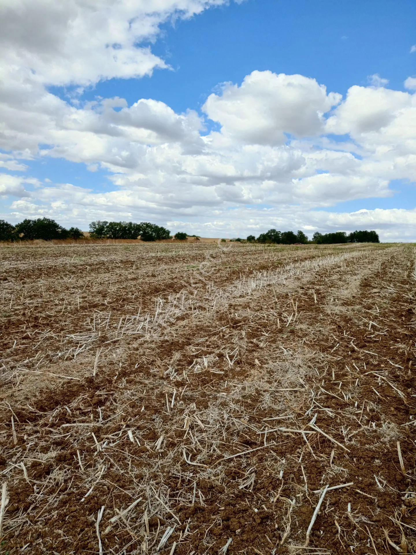 Edirne Uzunköprü Hamitli'de Satılık 16.552 M² Tarla — fotoğraf 5