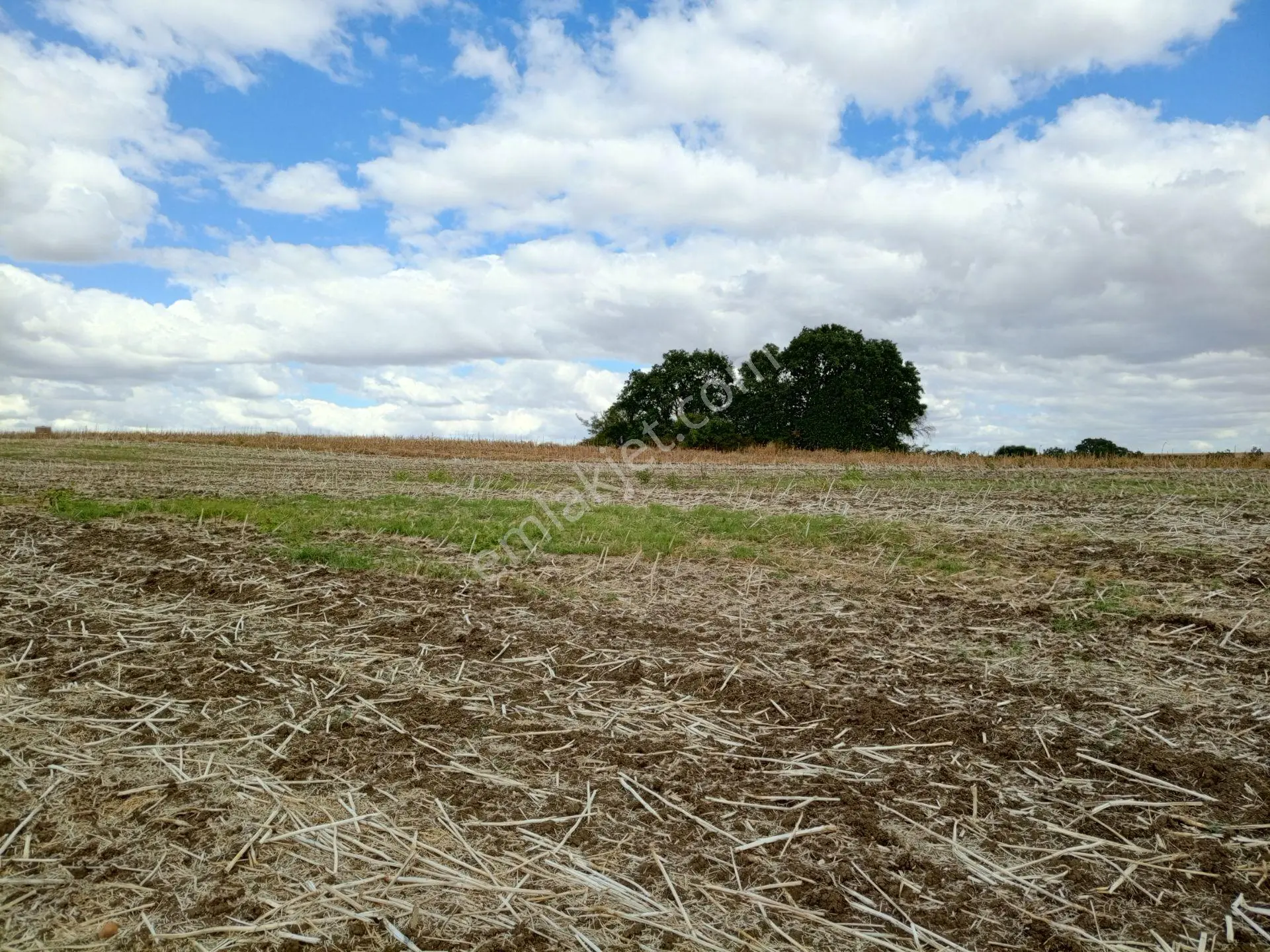 Edirne Uzunköprü Hamitli'de Satılık 16.552 M² Tarla — fotoğraf 8