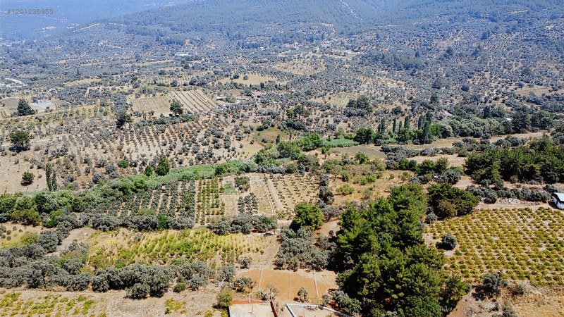 Kemalpaşa Cumalı Satılık 350 M2 Bahçe