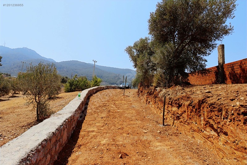 Kemalpaşa Cumalı Satılık 350 M2 Bahçe — fotoğraf 2