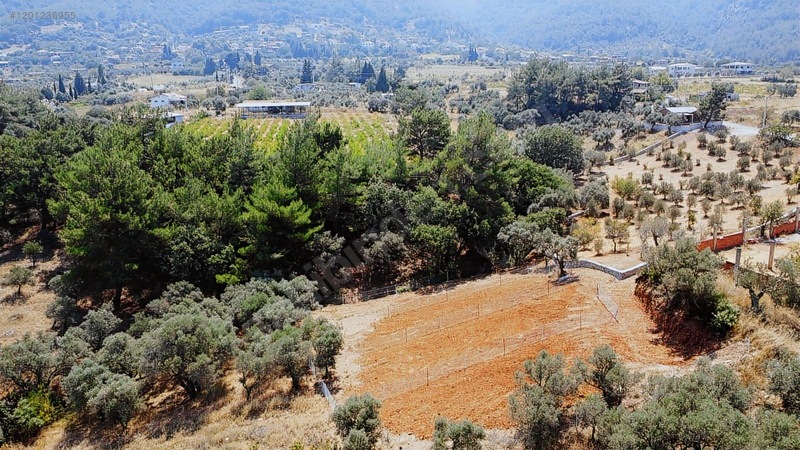 Kemalpaşa Cumalı Satılık 350 M2 Bahçe — fotoğraf 3