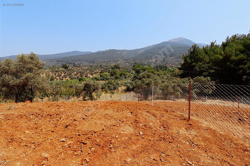 Kemalpaşa Cumalı Satılık 350 M2 Bahçe — fotoğraf 4