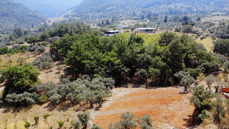 Kemalpaşa Cumalı Satılık 350 M2 Bahçe — fotoğraf 5
